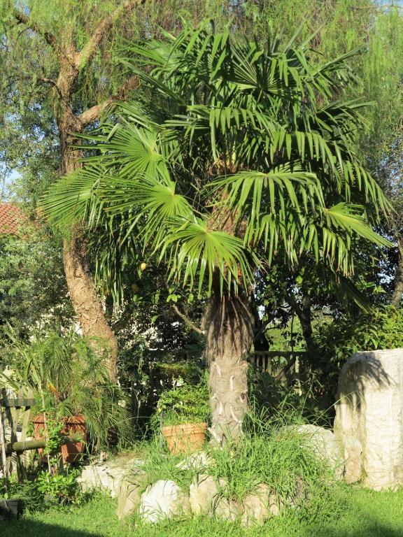 Albergo Little Garden Formia Zewnętrze zdjęcie